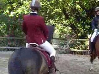 Fêtes du cheval grâne 2008