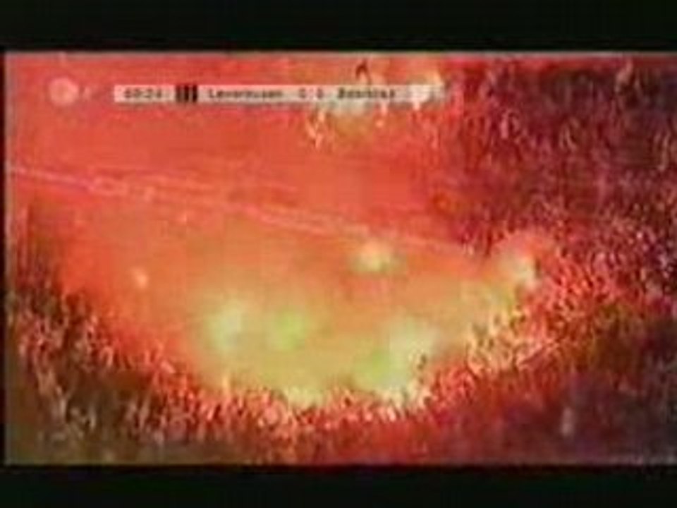 Supporters Besiktas in Leverkusen Bay Arena