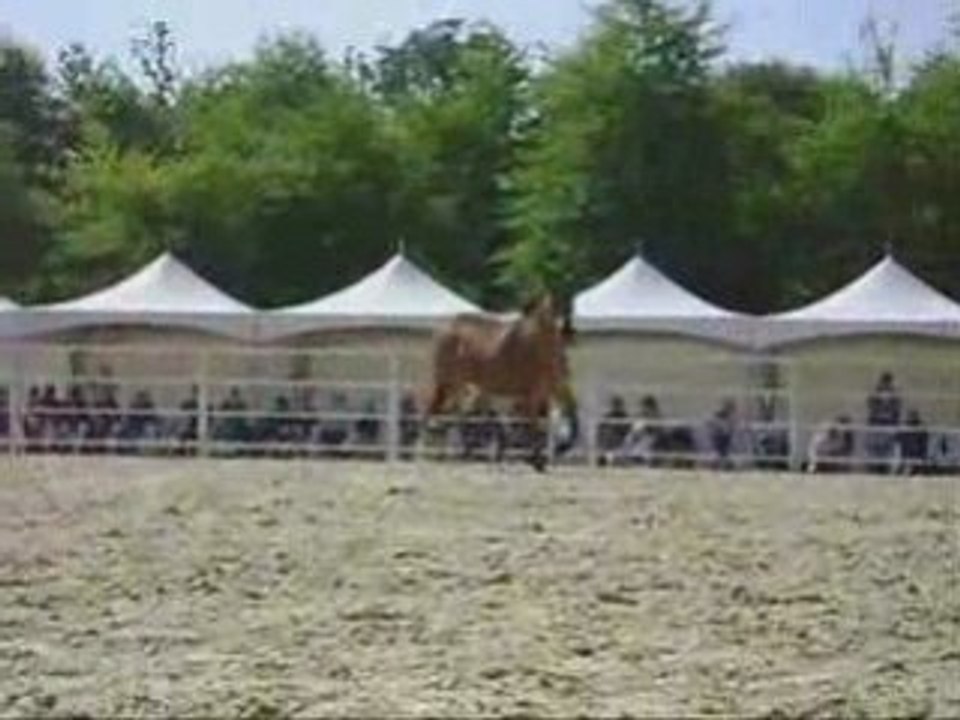 Les rendez-vous de la Cense 2008 Andy et Stormy, Thierry...