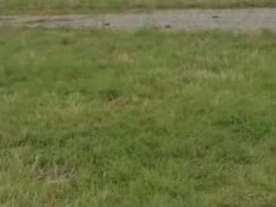 13e GTI TUNING INTERNATIONAL 2008 MAGNY COURS video en hd