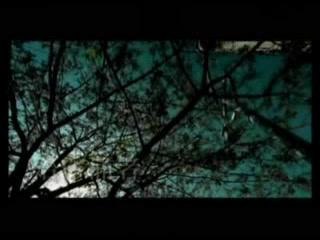 Jolin Tsai - The starter