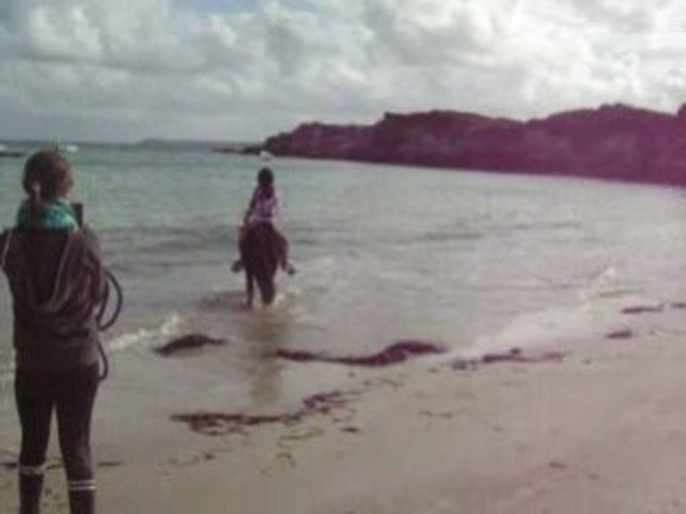 Premiers pas de Gandy dans l'eau