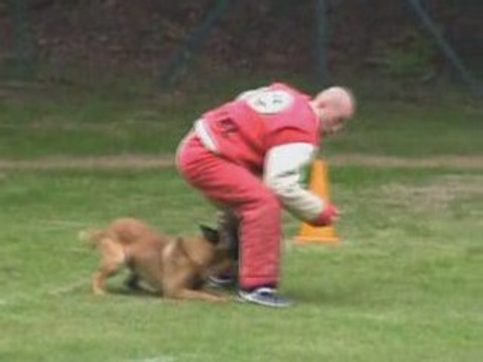 Arkos du Bois des Trembles Championnat de Lorraine Ring 2008