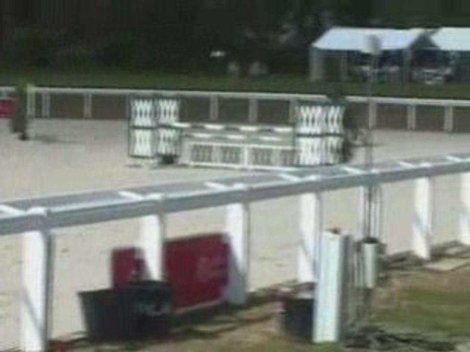 Prestige d'Herbiers, Le Lion d'Angers Avril 2008