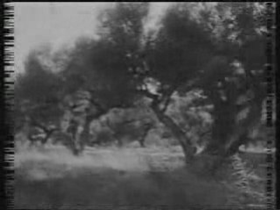 LE PETIT TRAIN DE LA MÉMOIRE