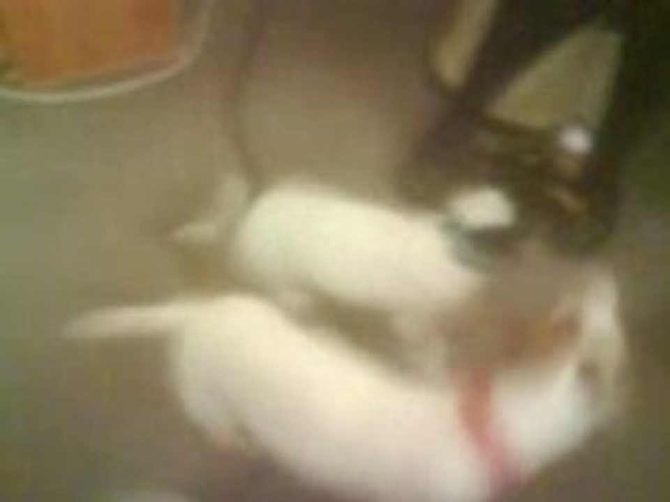 Chufi 1