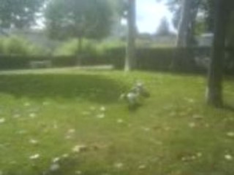 Au parc