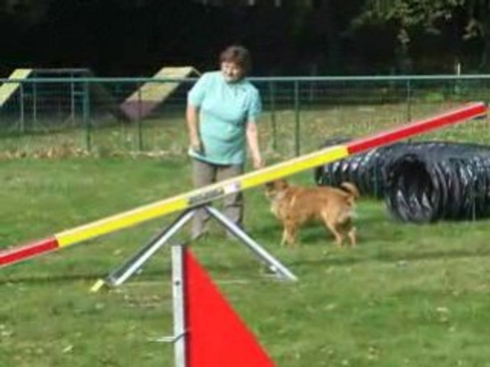 Porte ouverte club canin 022
