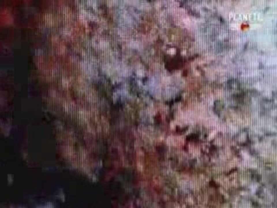 La pierre gravée du Roi Salomon (3 sur 3)