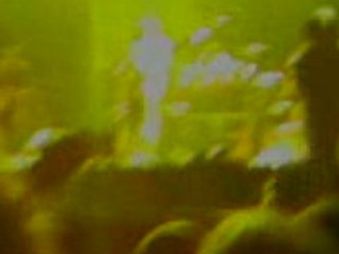 Ben Harper au Eurock 2008