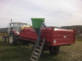 Cédric aux vendanges