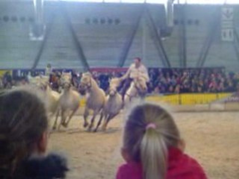 chevalissimo  2008
