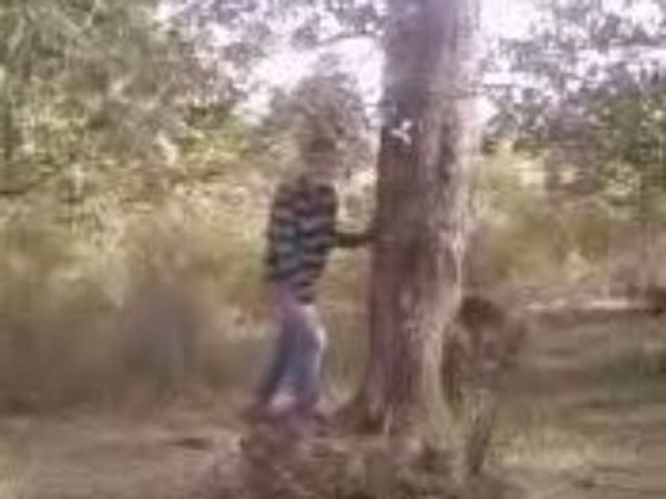 Saut de fils