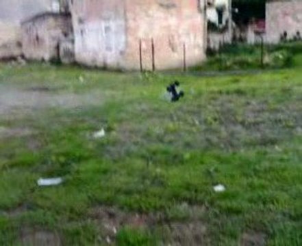 Hpi Savage X with Axial .28RR & Hpi Savage 25 with F4.1 (2)