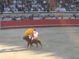 Feria des Vendanges 2008