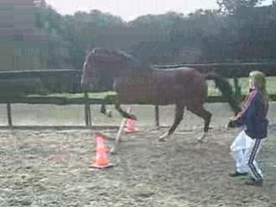 CLIP0307