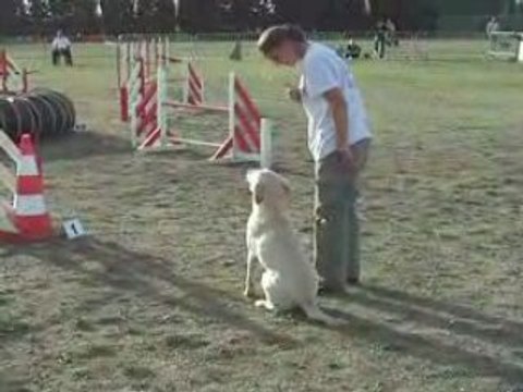 051008-Carcassonne-Jumping-Woofie