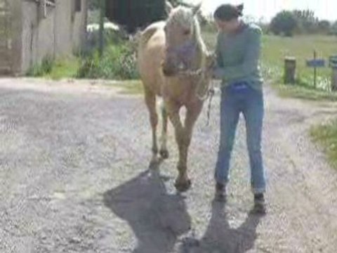 Debut pas espagnol...