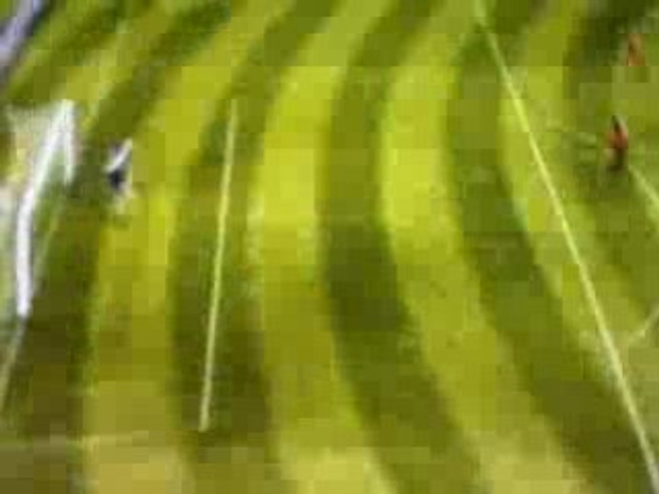 demi volée de riise