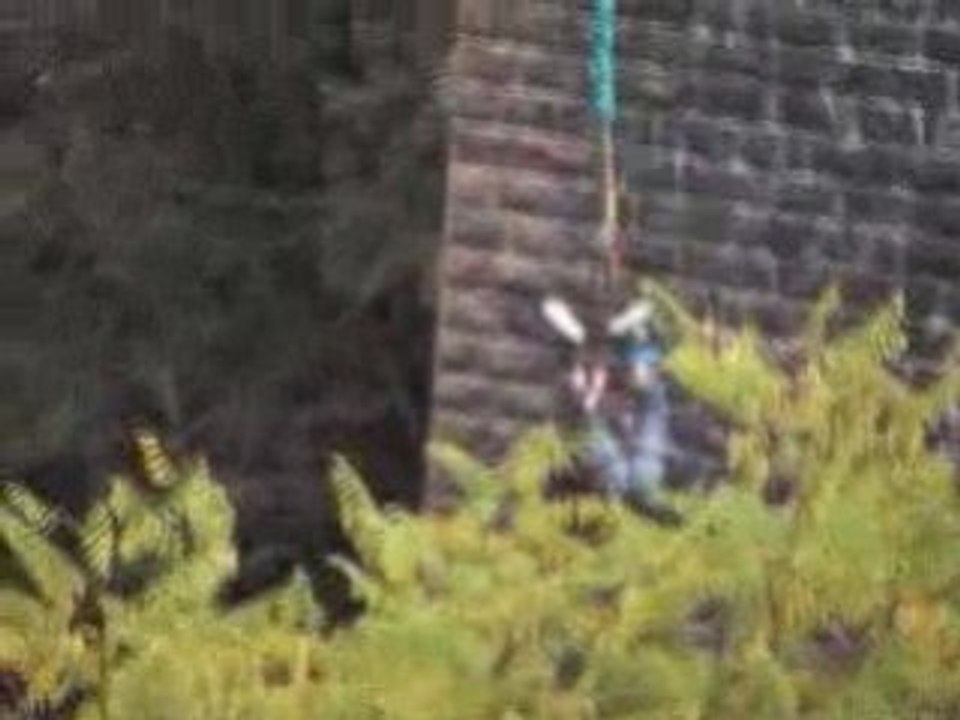 Saut a l'elastique viaduc de la recouméne