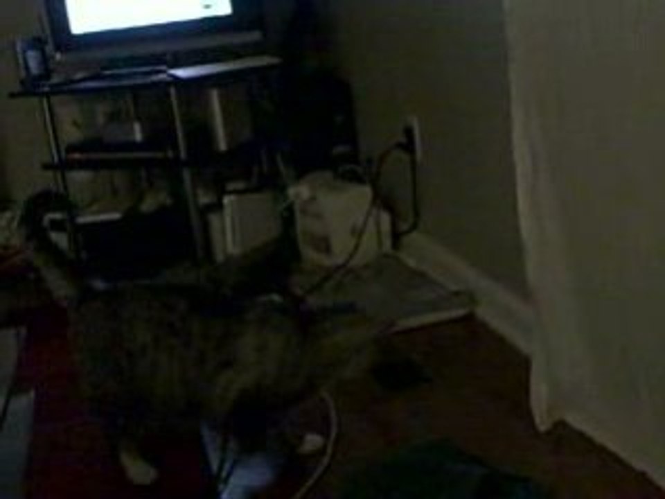 Zephyr vs. Laser Pointer