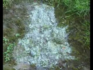 BTS Episode II (3eme partie)