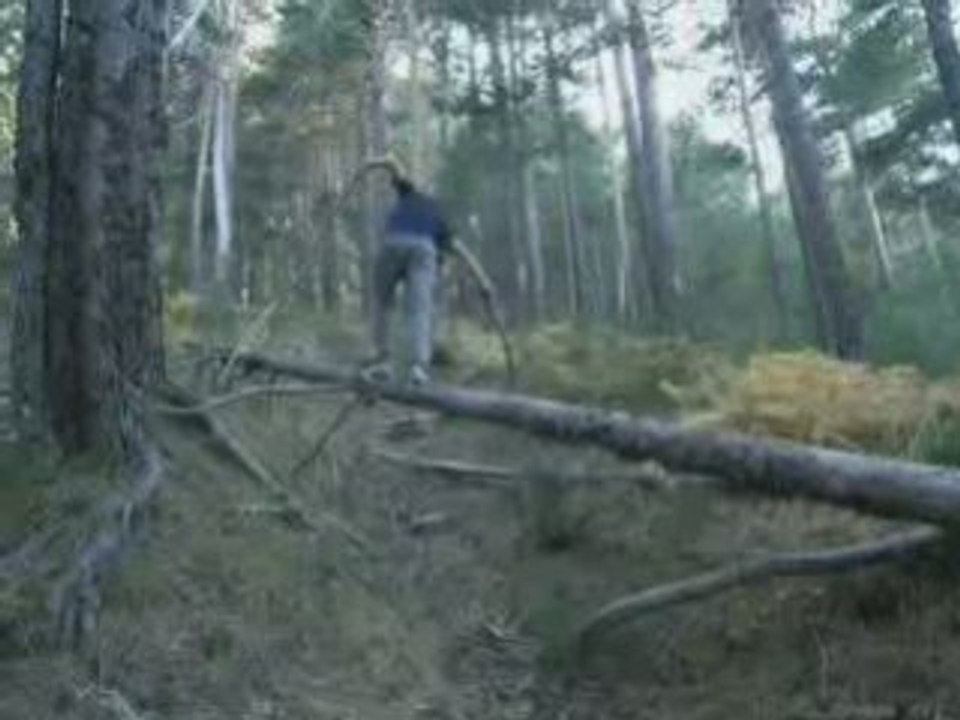 Paul and another log