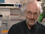 EfferveSciences - Michel BORNENS - Cellules et prolifération cellulaire
