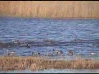 Parc des Marais basse def