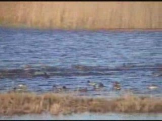 Parc des Marais haute def