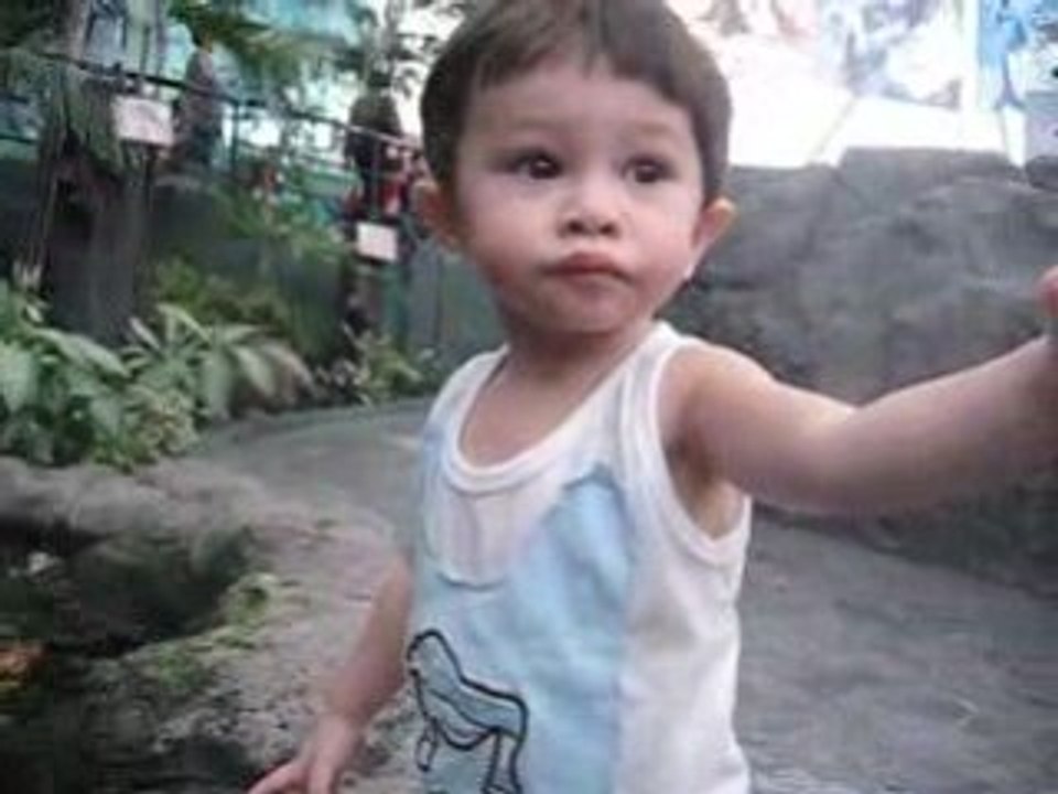 I am fascinated by fish (Pla)