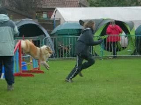 Agility orchies 2008 1 degre boni