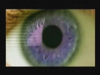 Zeitgeist_ Addendum 13_13