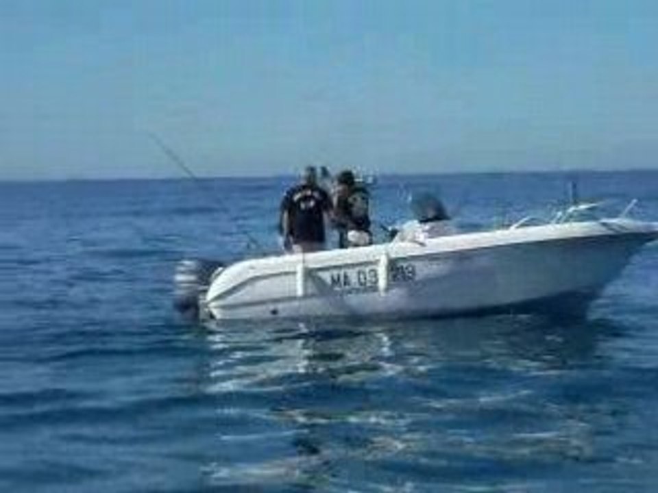le gabian catch'n release