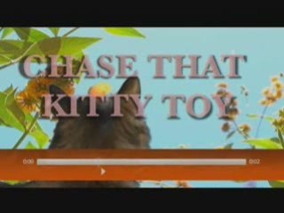 DVR Anywhere by Reilly Donovan - Microsoft Mediaroom