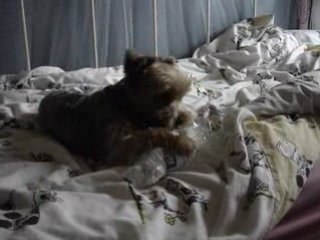 Noa et la bouteille en plastique