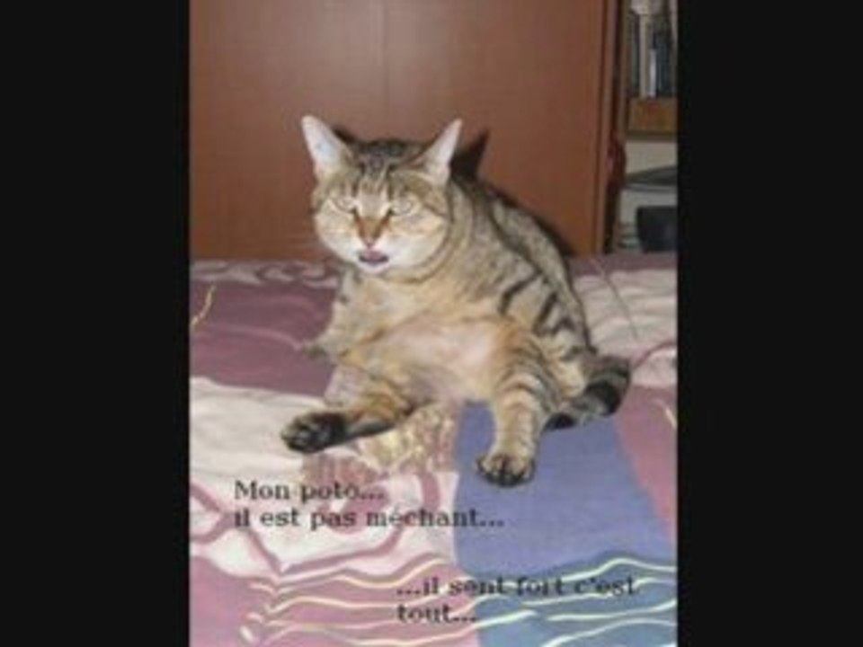 Junior l'entrechat!!!