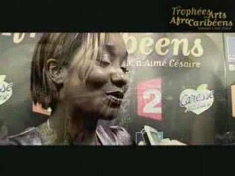 Trophées des Arts Afro Caribéens - Coulisses