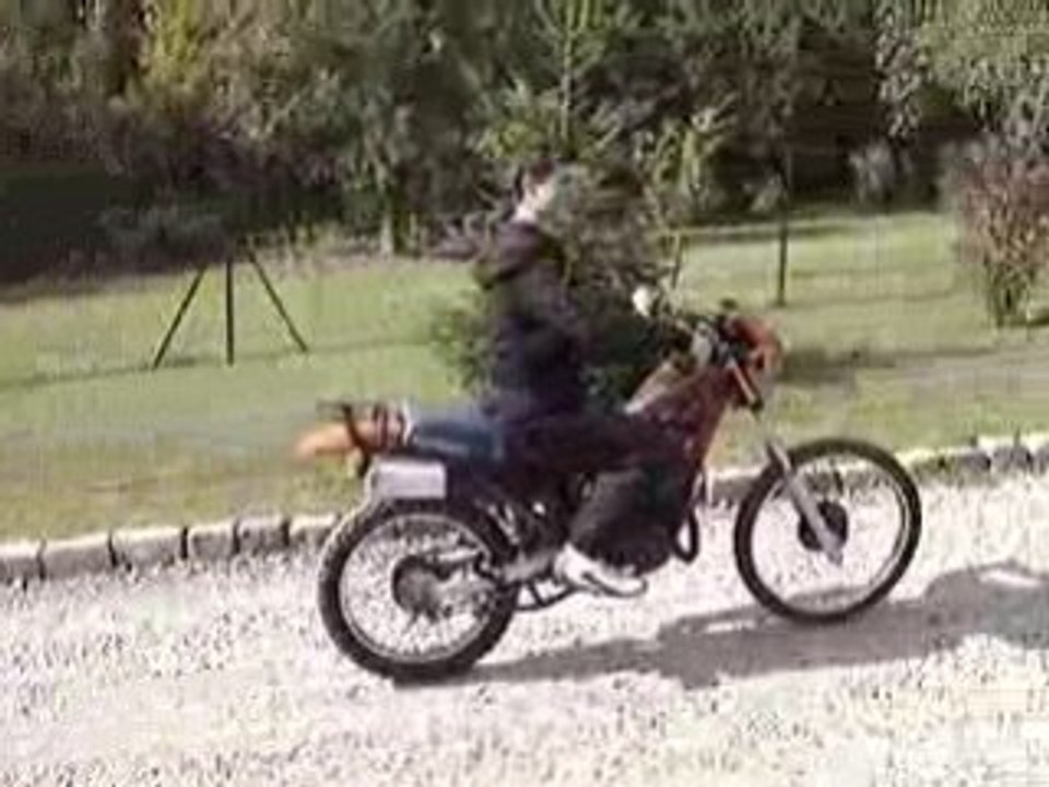 MOV02885 mtx 50