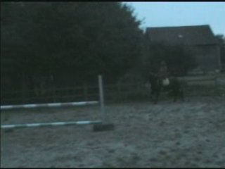 quick saut suite