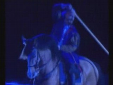 Spectacle équestre Bruno Boisliveau - Don Quichotte