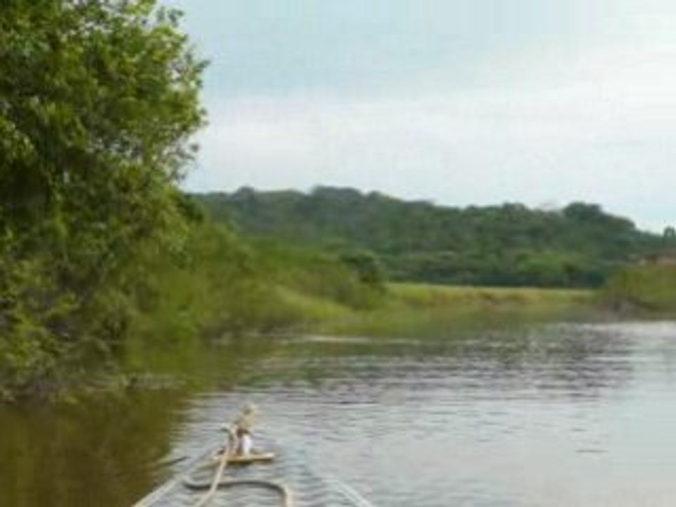 marais de Kaw saut de poissons