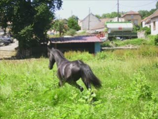 Wanda: les souvenirs .... avec de gros bugs xD