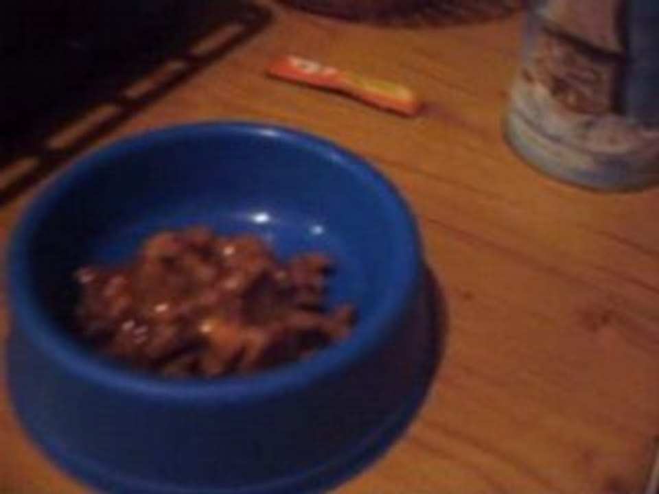 le repas de mes minettes