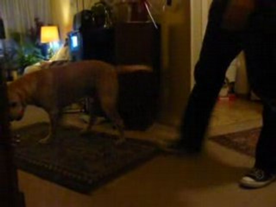 Willy et la balle
