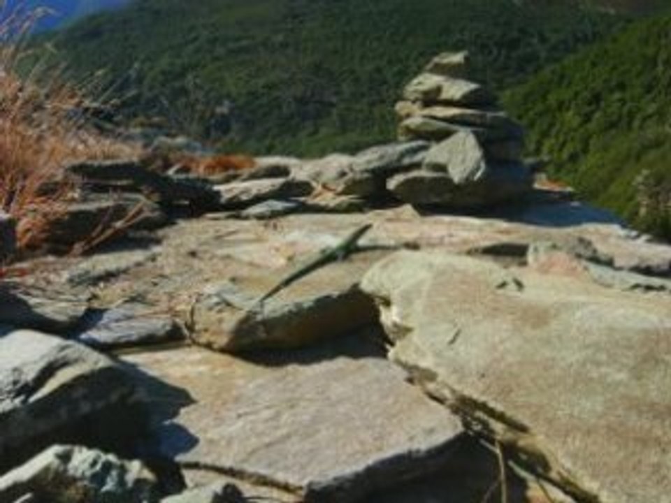 Tour médièvale de Sénèque XIII ème siècle : Cap Corse.