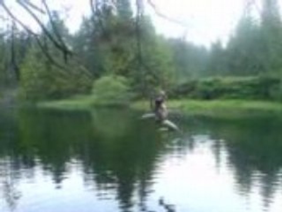 jump