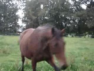 Ma chérie Pop music