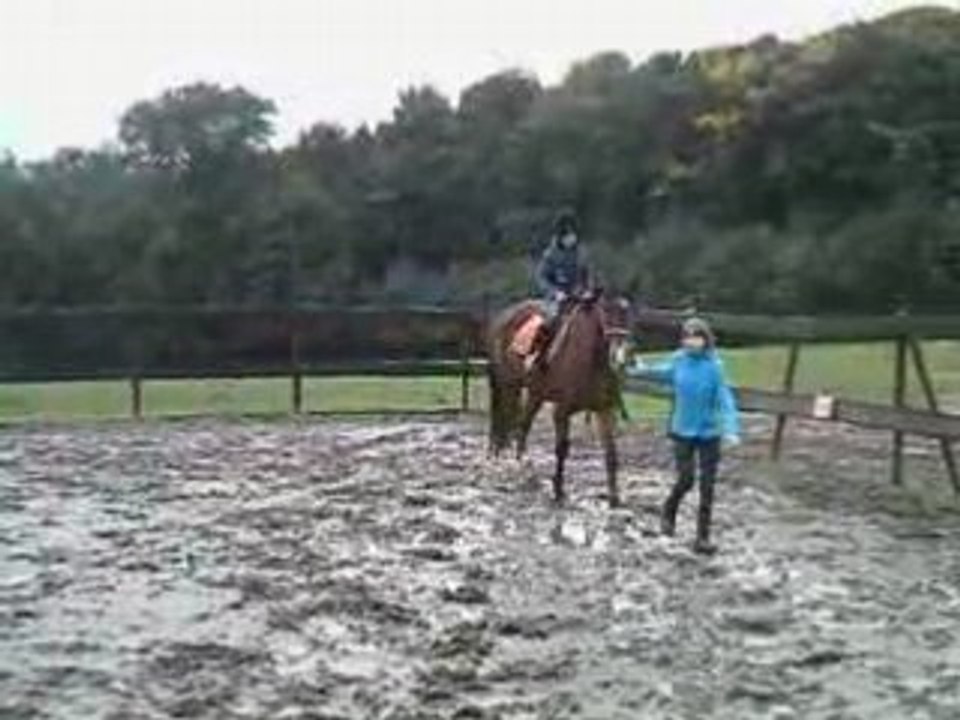 CLIP0330
