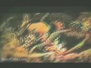 Ill Bill - Society Is Brainwashed / NEW